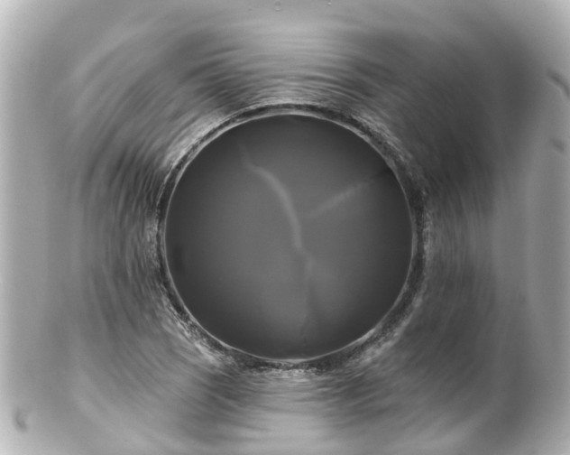 X0000100921121200807011300