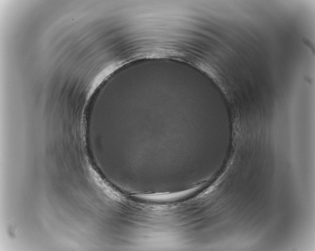 X0000100921122200807011301