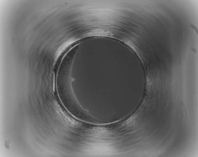 X0000100921123200807011301