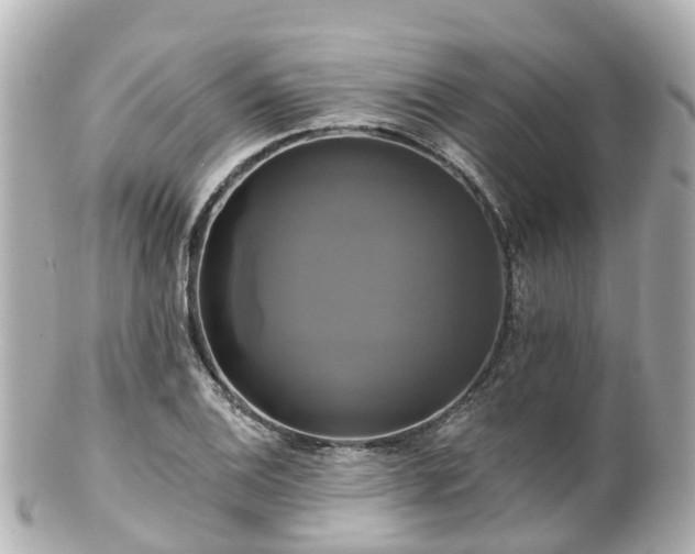 X0000100921124200807011301