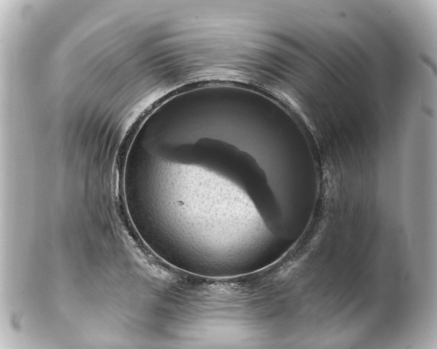 X0000100921125200807011301