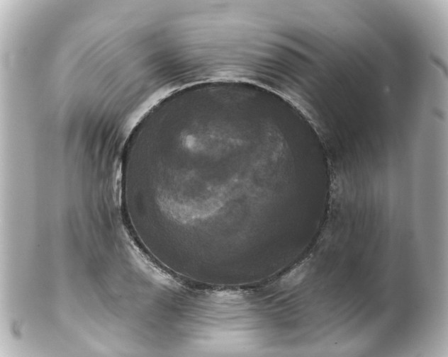 X0000100921126200807011301