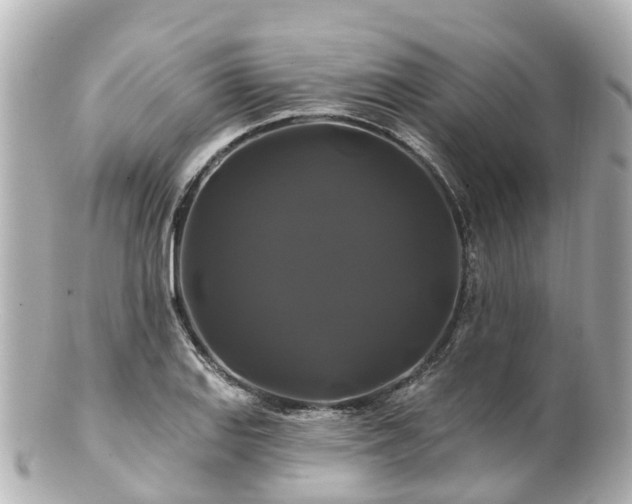 X0000100921127200807011301