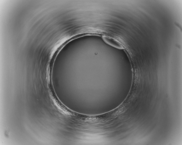 X0000100921128200807011301