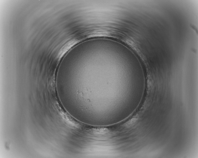 X0000100921129200807011301