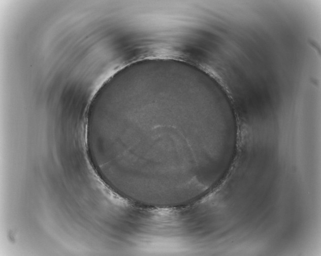 X0000100921130200807011301