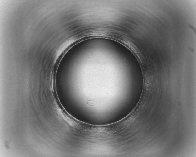 X0000100921131200807011301