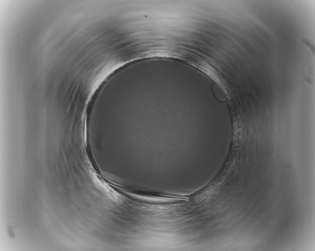 X0000100921132200807011301