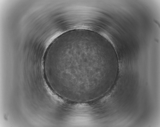 X0000100921133200807011301