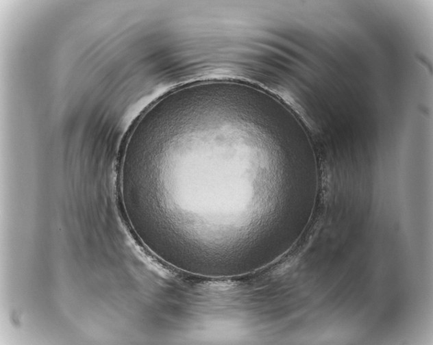 X0000100921134200807011301