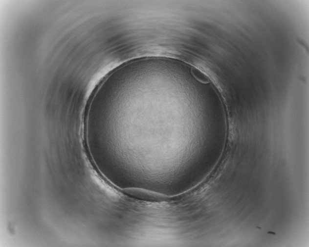 X0000100921136200807011301