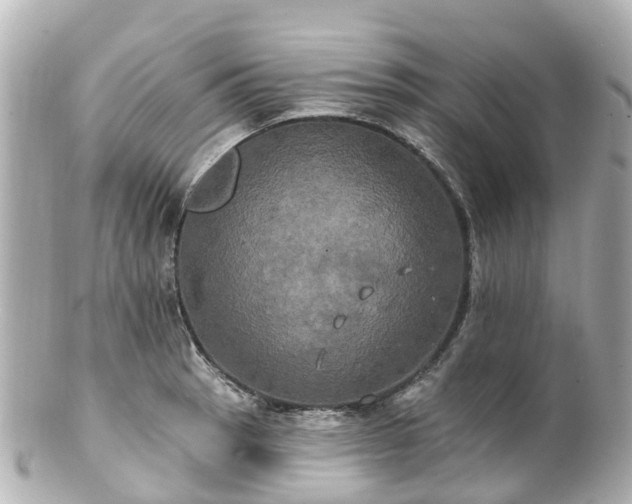 X0000100921137200807011301