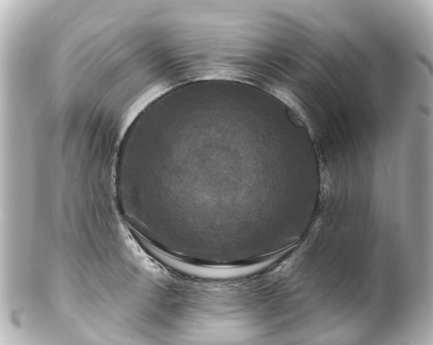 X0000100921138200807011301