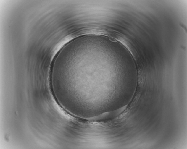 X0000100921139200807011301