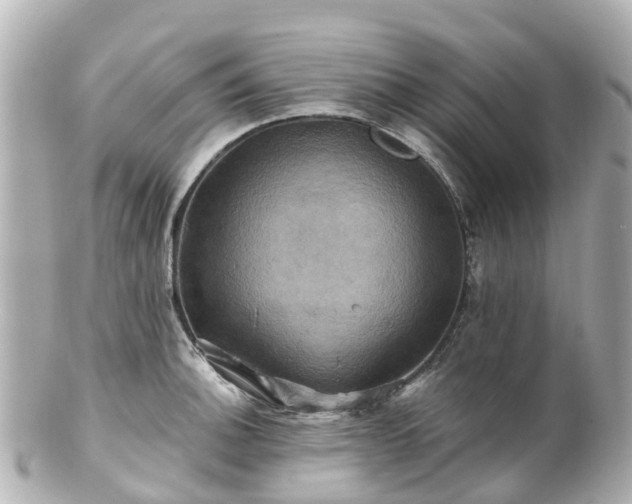 X0000100921140200807011301