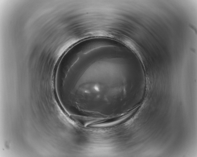 X0000100921141200807011301