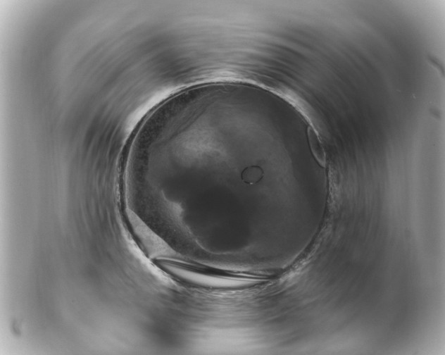 X0000100921142200807011301