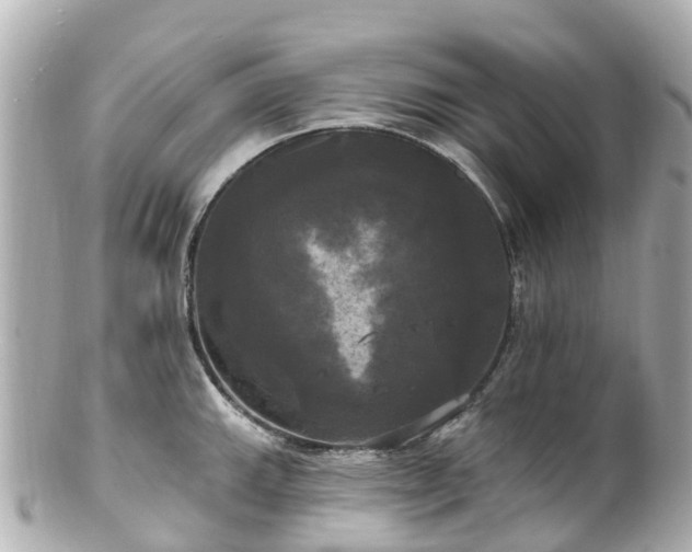 X0000100921143200807011301