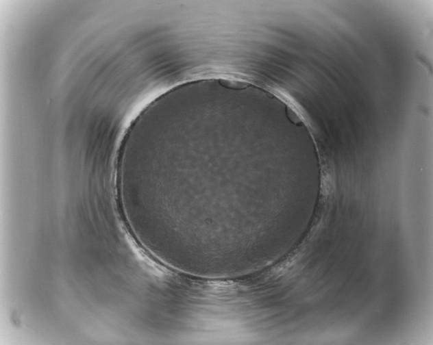 X0000100921144200807011301