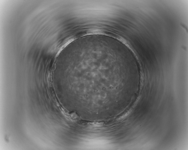 X0000100921145200807011301