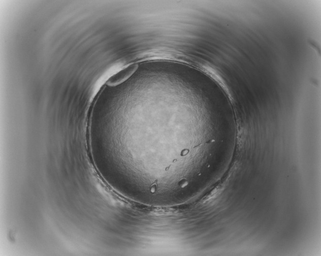 X0000100921146200807011301