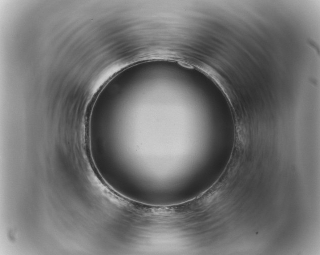 X0000100921147200807011301