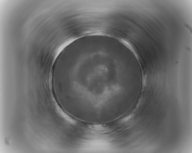 X0000100921149200807011301