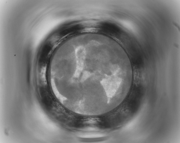 X0000100921150200807011301