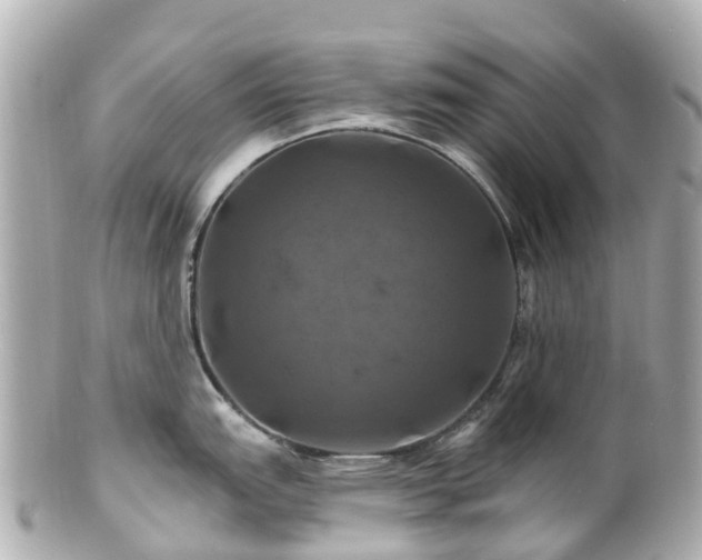 X0000100921151200807011301