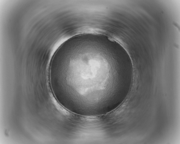 X0000100921152200807011301