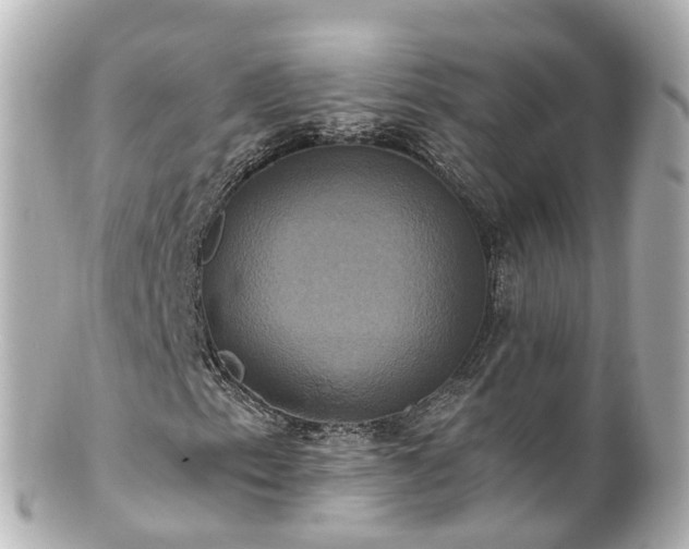 X0000100921153200807011300