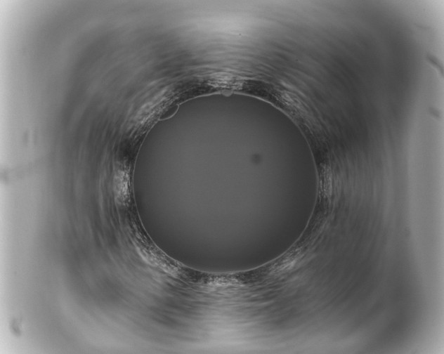 X0000100921154200807011300