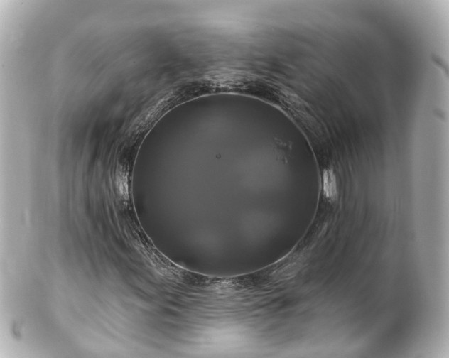 X0000100921155200807011300