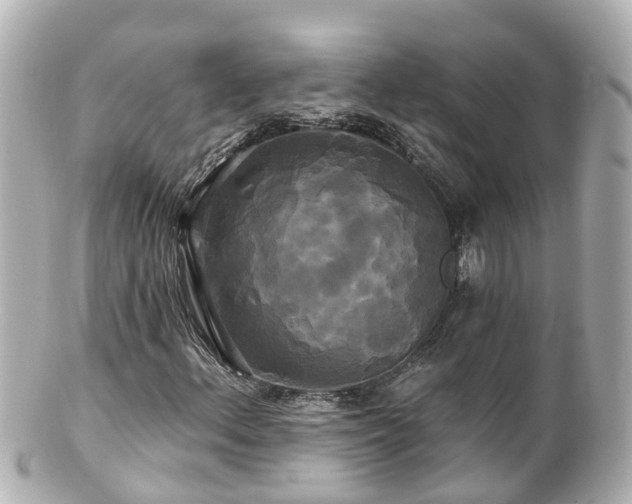 X0000100921156200807011300