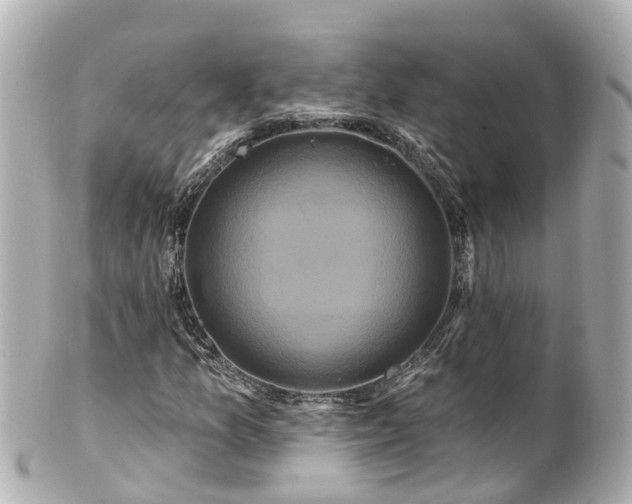 X0000100921157200807011300