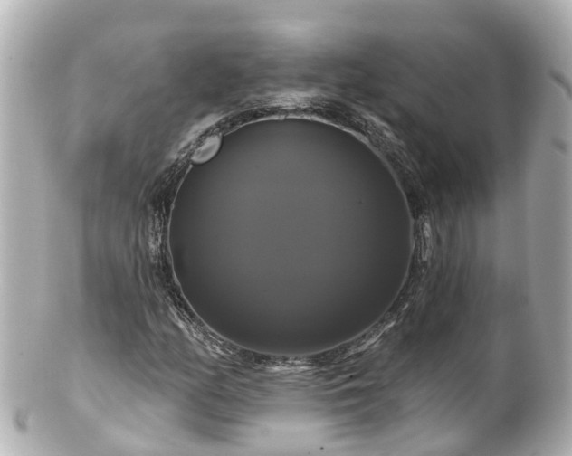 X0000100921158200807011300