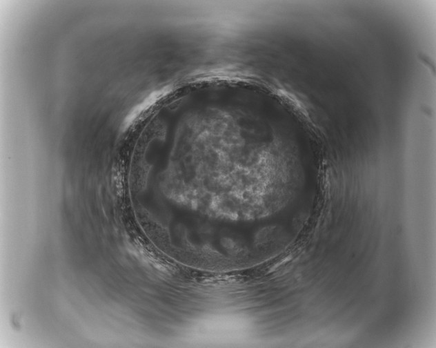 X0000100921159200807011300