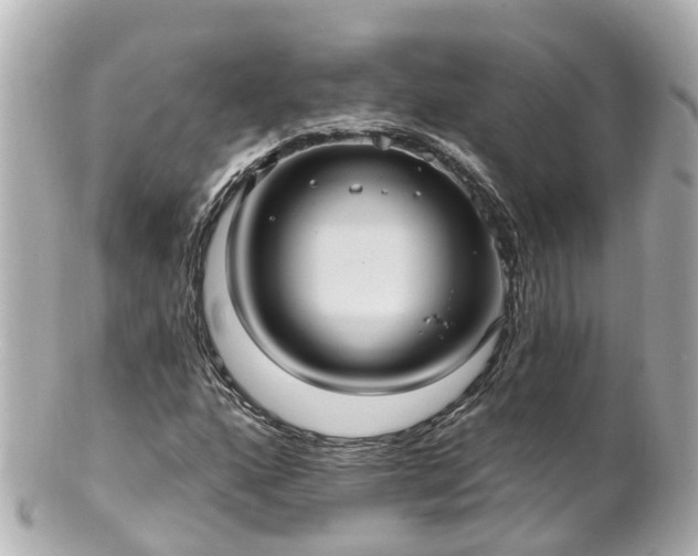 X0000100921160200807011300