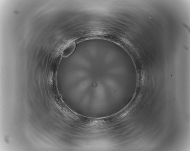 X0000100921161200807011300