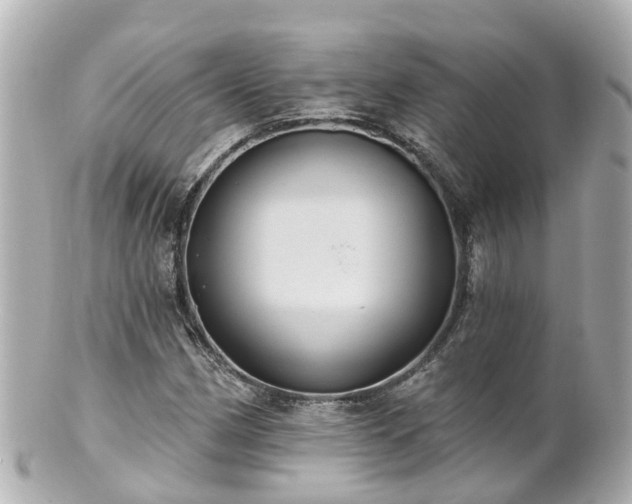 X0000100921162200807011300