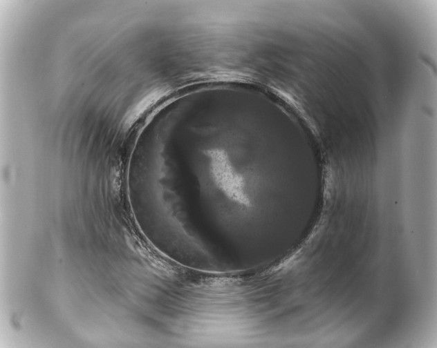 X0000100921163200807011300