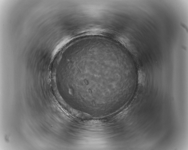 X0000100921164200807011300