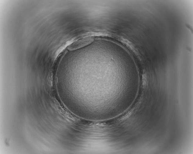 X0000100921165200807011300