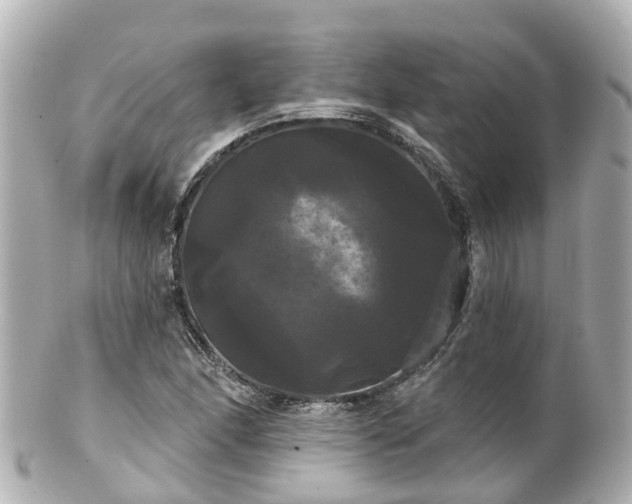 X0000100921166200807011300