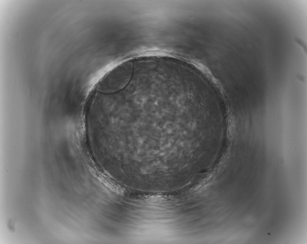 X0000100921167200807011300