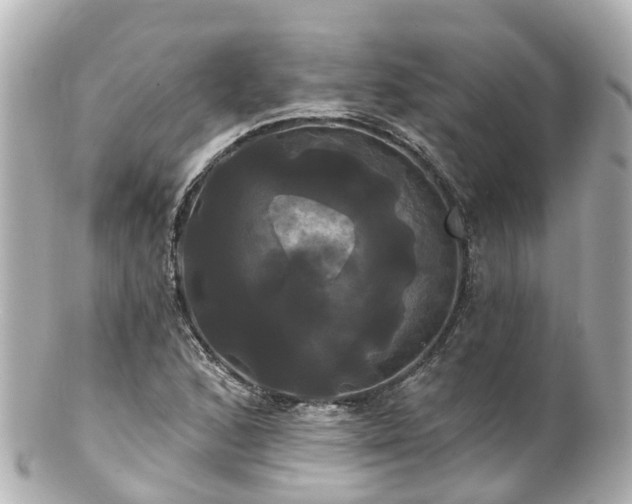 X0000100921168200807011300