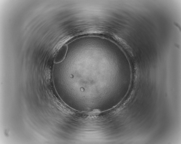 X0000100921169200807011300