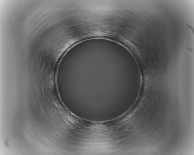 X0000100921170200807011300