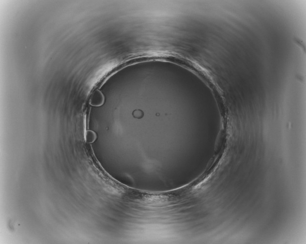 X0000100921171200807011300