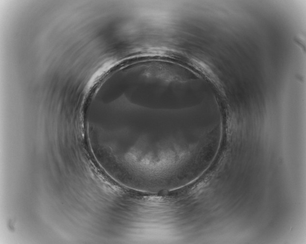 X0000100921172200807011300